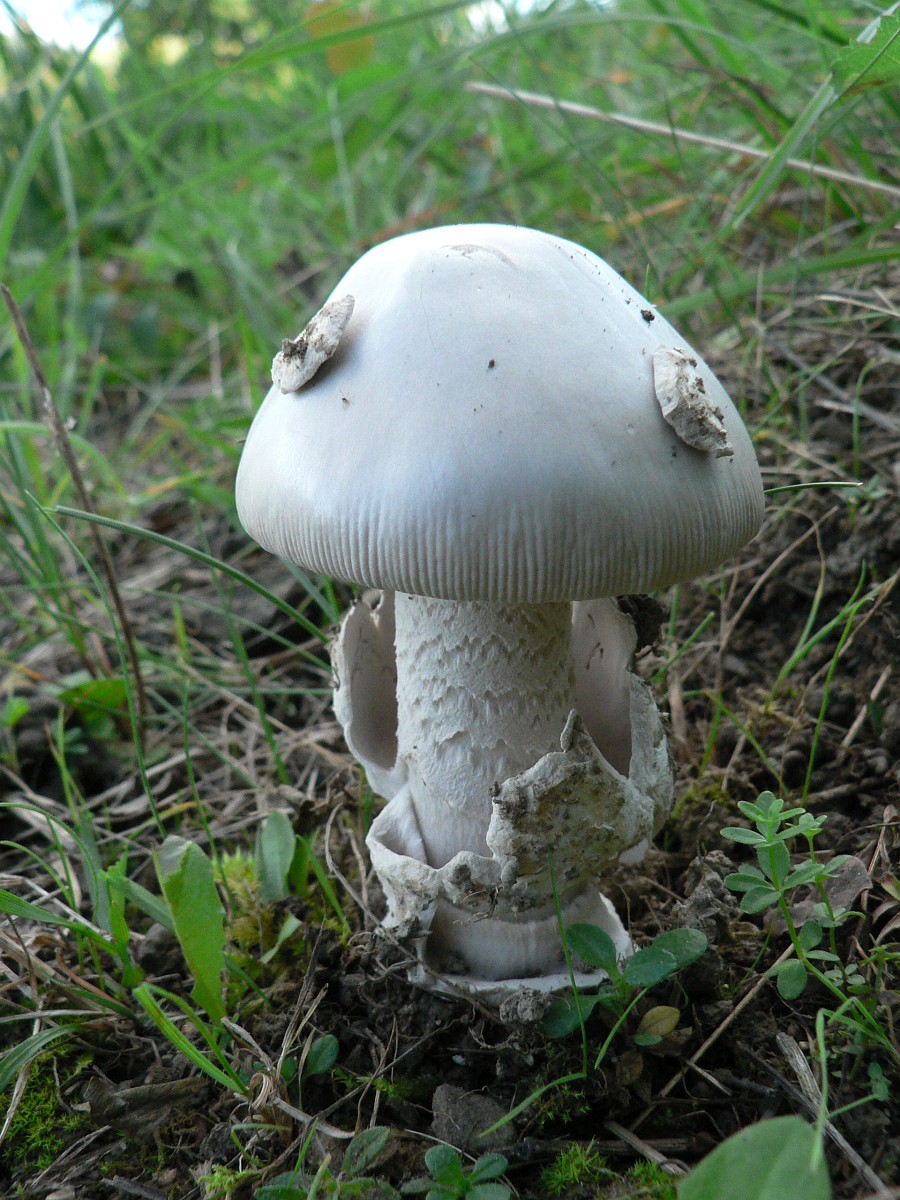 Erik kirish joyida ayolni sikadi